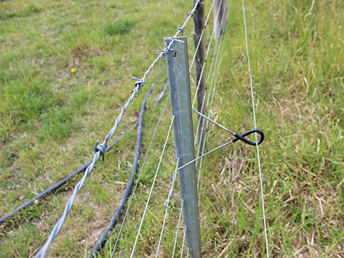 Steel Fence Posts
