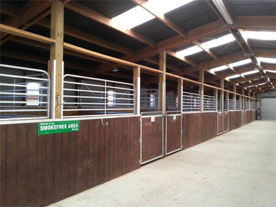 Horse Enclosure